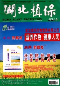 ����ֲ��