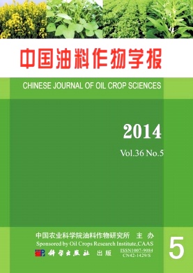 �й���������ѧ��