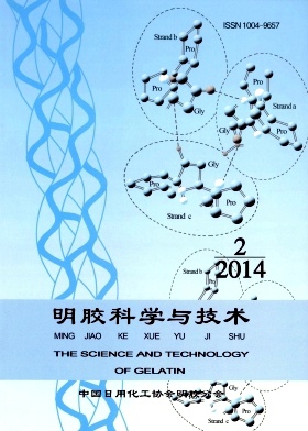 ������ѧ�뼼��