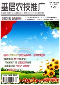 ����ũ���ƹ�