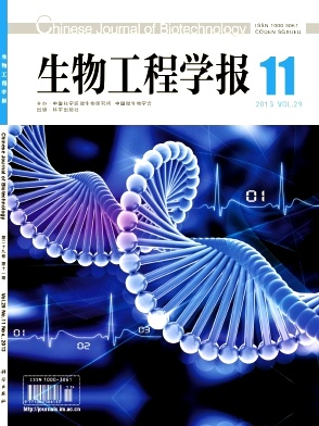 ���﹤��ѧ��