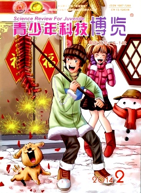 ������Ƽ�����