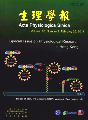 ����ѧ��