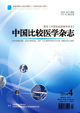 �й��Ƚ�ҽѧ��־