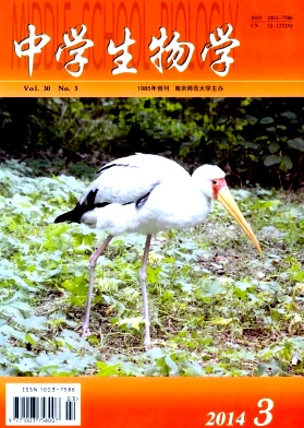 ��ѧ����ѧ