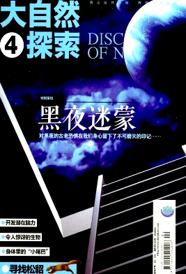 ����Ȼ̽��