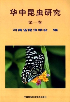 ���＼������