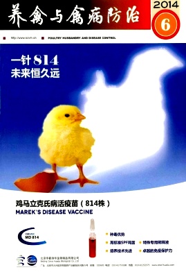 �������ݲ�����