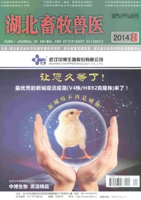 ����������ҽ