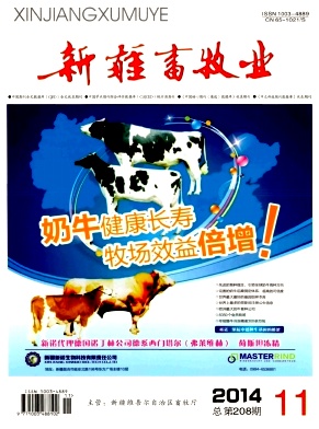 �½�����ҵ