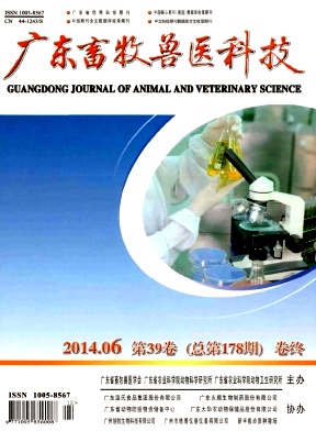 �㶫������ҽ�Ƽ�