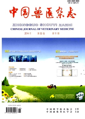 �й���ҽ��־