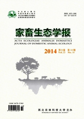 ������̬ѧ��