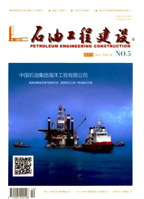 ʯ�͹��̽���