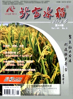 ����ˮ��