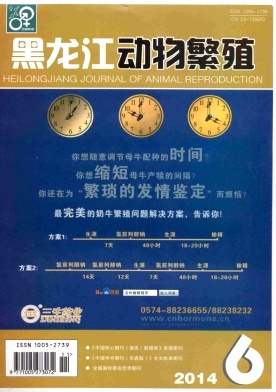 ���������ﷱֳ