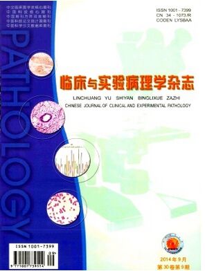 �ٴ���ʵ�鲡��ѧ