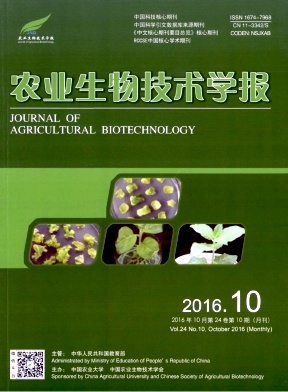 ũҵ���＼��ѧ��