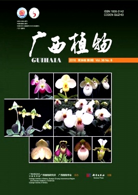 ����ֲ��