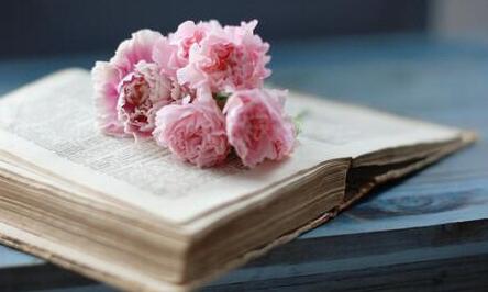 4581-1F60QH23TV.jpg 4581-1F60QH23TV.jpg