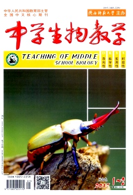 ��ѧ�����ѧ