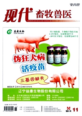 �ִ�������ҽ