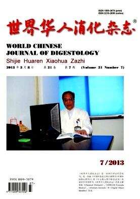 世界华人消化杂志.jpg 世界华人消化杂志.jpg