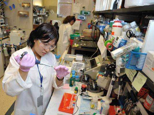 医生论文.jpg 医生论文.jpg