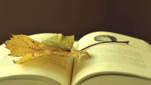 护士论文写作格式.jpg 护士论文写作格式.jpg