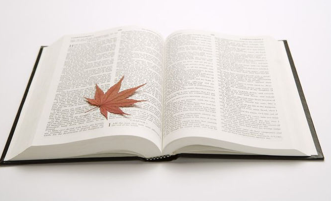 教育学文摘投稿要求.png 教育学文摘投稿要求.png