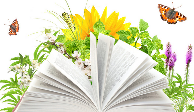 如何快速的<a href='http://www.qikan58.com/' title='发表论文' target='_blank' style='color:#ff0000'>发表论文</a>.png 如何快速的发表论文.png