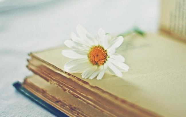 关于学术论文如何写作.png 关于学术论文如何写作.png